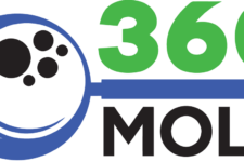 Photo of 360 MOLD Photo of 360 MOLD