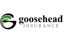 Logo for GOOSEHEAD INSURANCE Logo for GOOSEHEAD INSURANCE