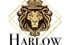 Photo of HARLOW HINDSIGHT Photo of HARLOW HINDSIGHT