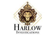 Logo for HARLOW HINDSIGHT Logo for HARLOW HINDSIGHT