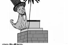 Photo of TOPCAT CHIMNEY SERVICE Photo of TOPCAT CHIMNEY SERVICE